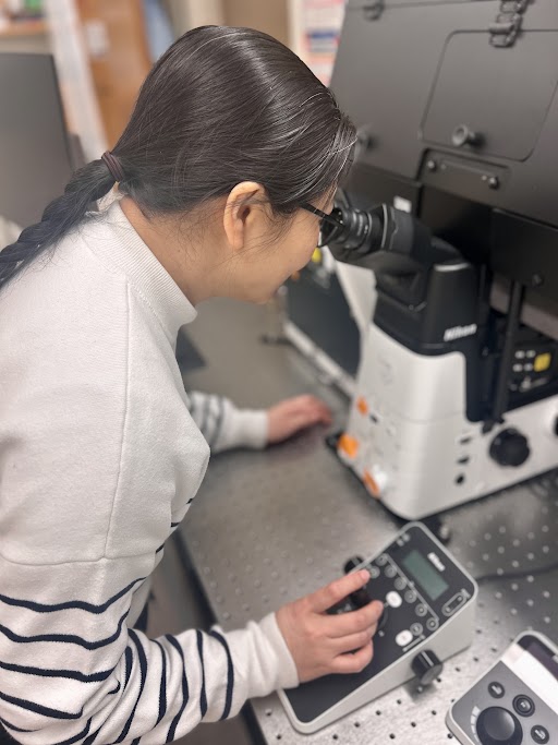 Researcher at Nikon microscope